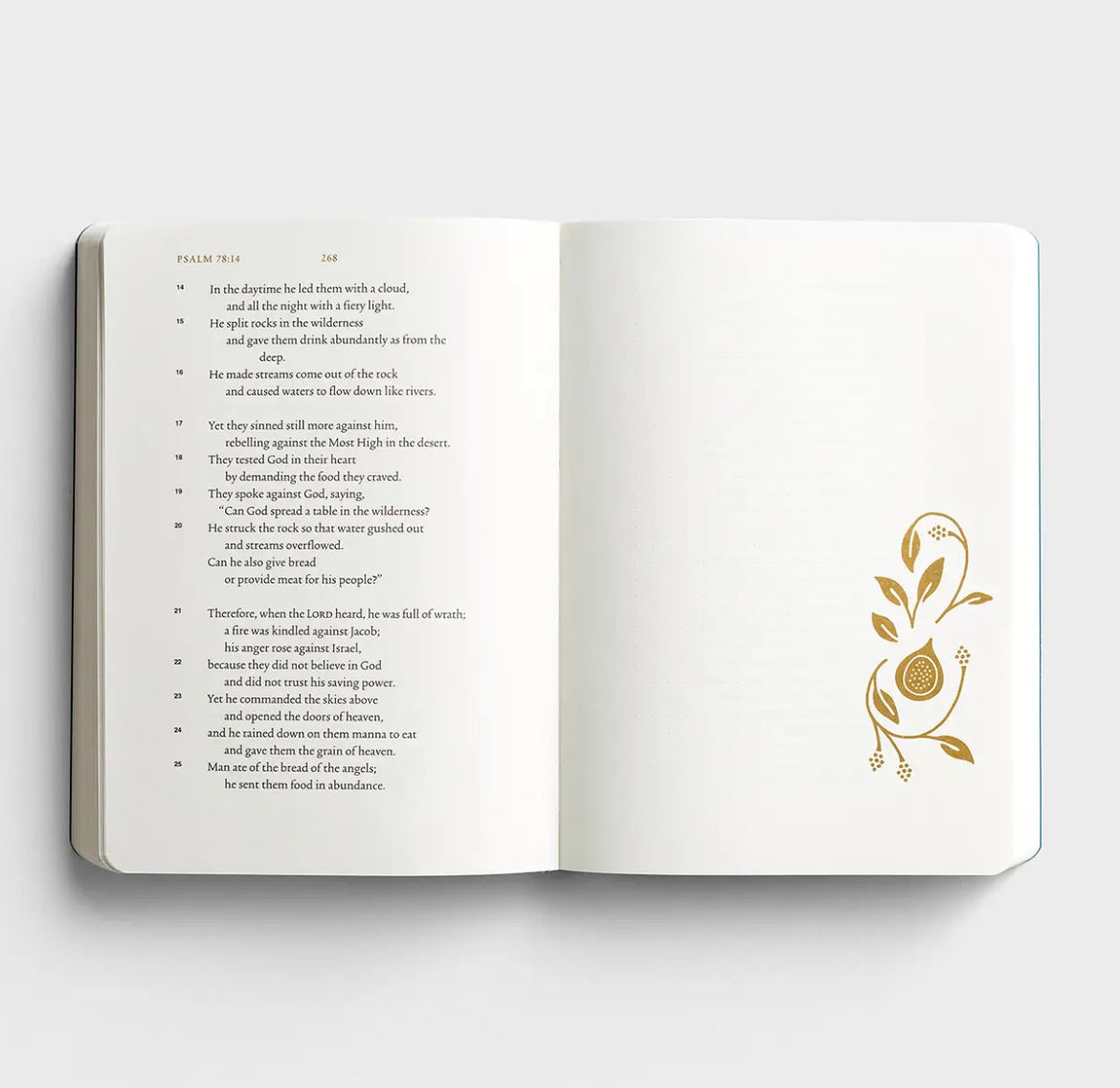 ESV Illuminated Scripture Journal - Psalms - I AM INTENTIONAL 