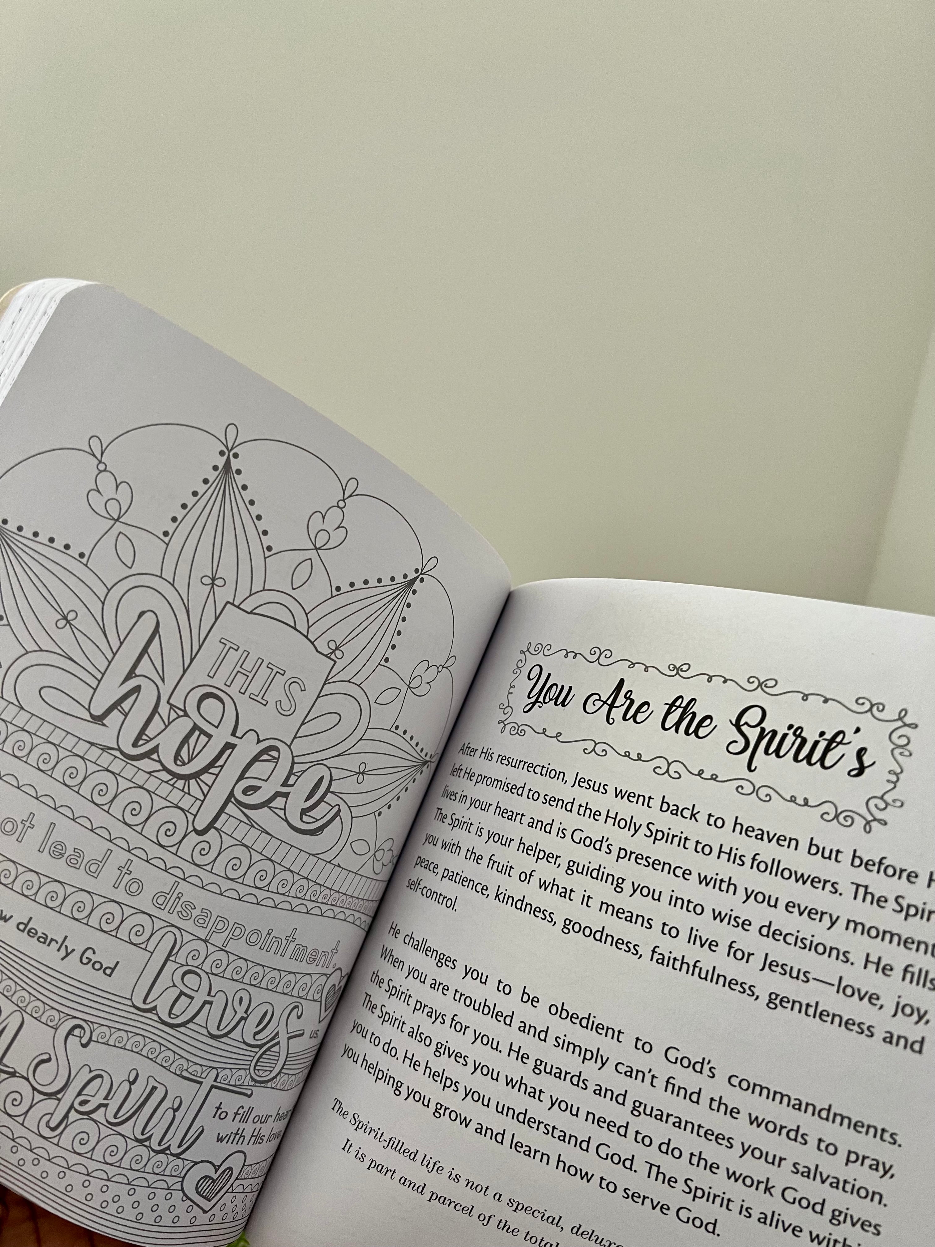 Illustrated Devotional for Women Softcover